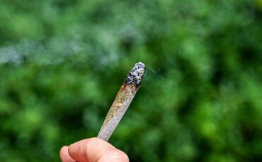 Cannabis-Messe "Mary Jane Berlin"