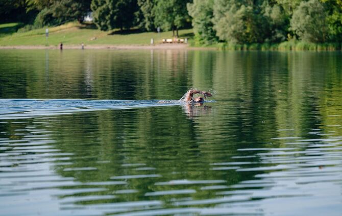 Hitze in Baden-Württemberg