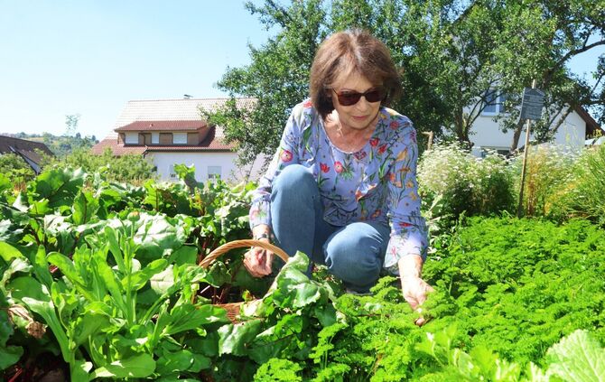 Irmgard Straub liebt es, im "Garten der Begegnung" zu ernten.