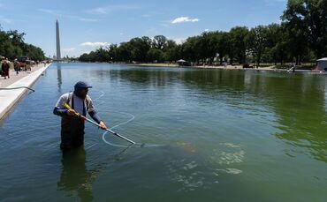 Reflecting Pool am Lincoln Memorial