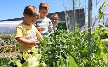 Beliebt sind die Zuckerschoten: Annika Wilms mit ihren Söhnen bei der Ernte.