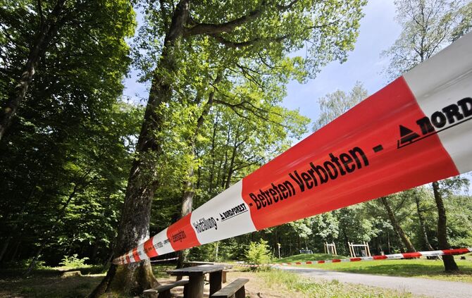 Der Eichenprozessionsspinner zwingt die "Buochfinken" aus dem Waldkindergarten Buoch dazu, das Weite zu suchen.