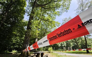 Der Eichenprozessionsspinner zwingt die "Buochfinken" aus dem Waldkindergarten Buoch dazu, das Weite zu suchen.
