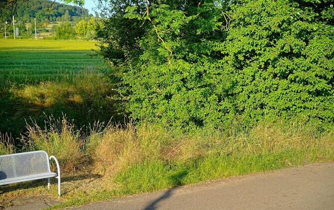 Nach dem Fund eines toten Säuglings in Renningen