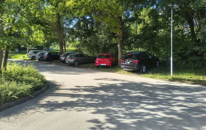 Der Schatten unter den Bäumen wirkt wohl einladend: Erlaubt ist das Parken auf der Grünfläche beim Rundsporthallen-Parkplatz abe
