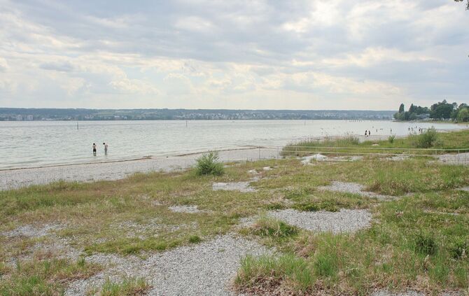 Trinkwasserversorgung aus dem Bodensee ist trotz Niedrigwasser nicht gefährdet. (Archivbild)