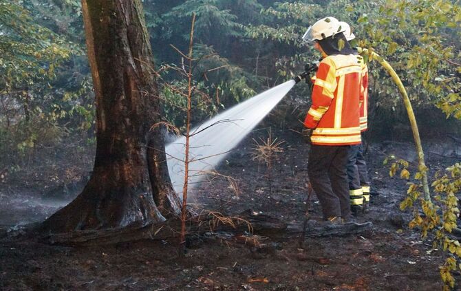 Brand im Hardtwald