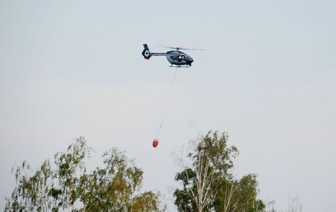 Waldbrand Gohrischheide