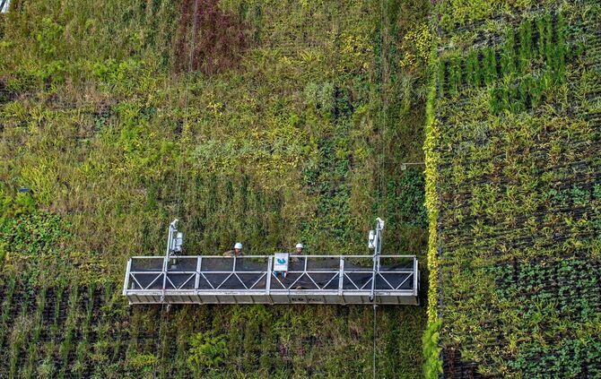 Vertikale Begrünung in Medellin