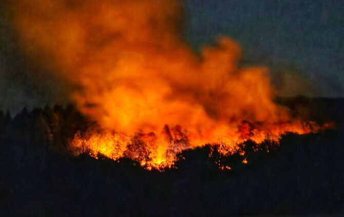 Brand in Waldgebiet mit Kampfmitteln
