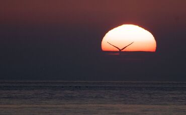 Nordsee-Windkraft