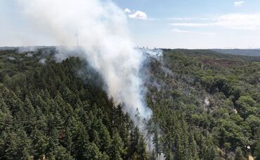 Waldbrand mit Munition in Rheinland-Pfalz brennt