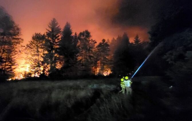 Waldbrand am Chiemsee