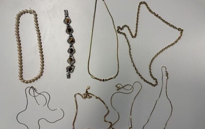 Der abgebildete Schmuck wurde am 10. Juni zwischen Hößlinswart und Steinach aufgefunden.