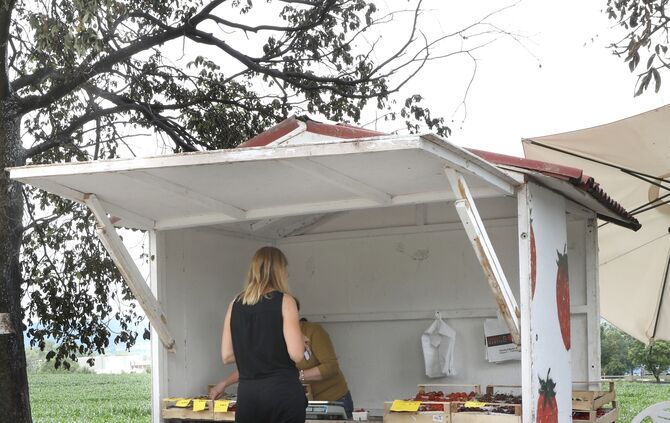 Branderdbeerstand