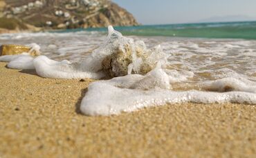 Baden in Meer und Seen ist mit Ausnahmen weitgehend sicher