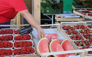 Erdbeeren, Johannisbeeren, Melonen: Was wächst bei der Hitze noch gut (Symbolfoto)?