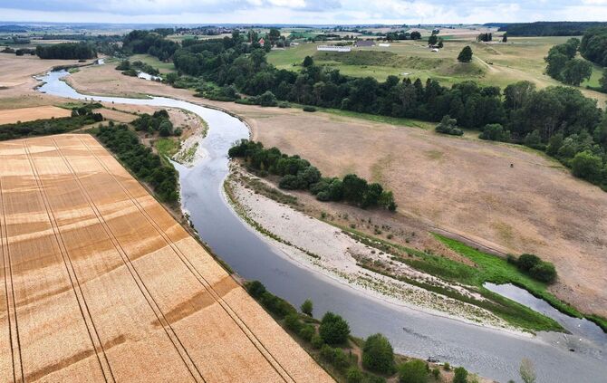 Niedrigwasser der Donau