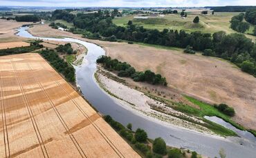 Niedrigwasser der Donau