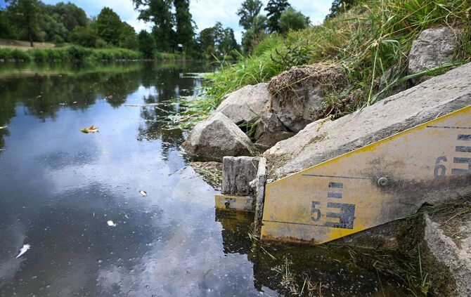Niedrigwasser der Donau