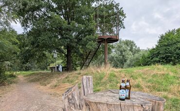 Idyll mit Bierflaschen: So aufgeräumt sah es zuletzt am Vogelturm in Winterbach nicht immer aus.