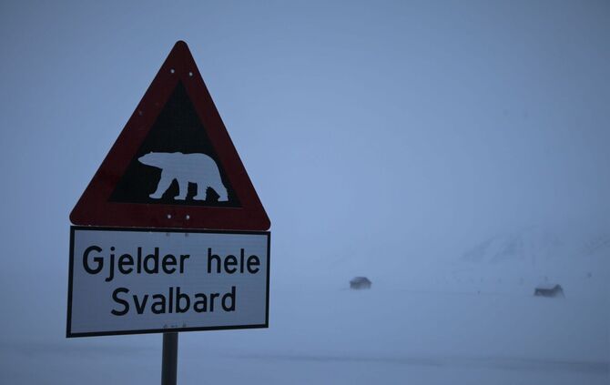 Eisbär auf Spitzbergen erschossen