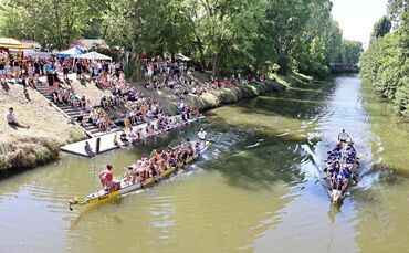 Knappes Rennen beim Waiblinger Drachenbootcup (Archivfoto).