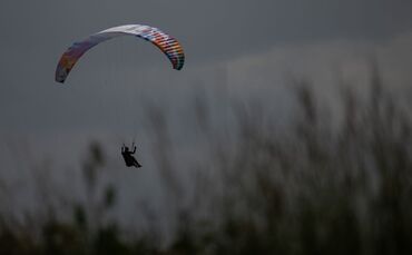 Nach Polizeiangaben fiel der Gleitschirmflieger in einen Baum und verletzte sich nur leicht. (Symbolbild)