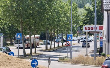Bäume an der Alten Bundesstraße in Waiblingen beim Schäferkreisel.