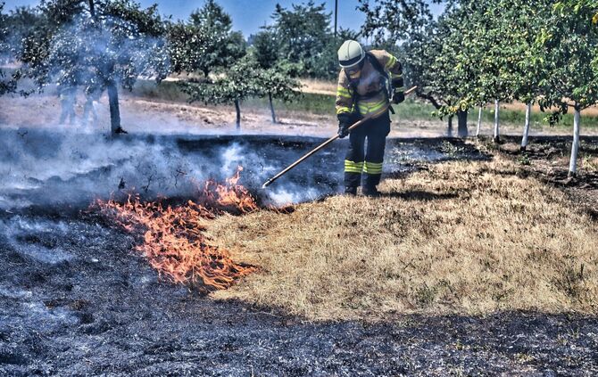 Es kam zu einem Flächenbrand in Fellbach.