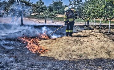 Es kam zu einem Flächenbrand in Fellbach.