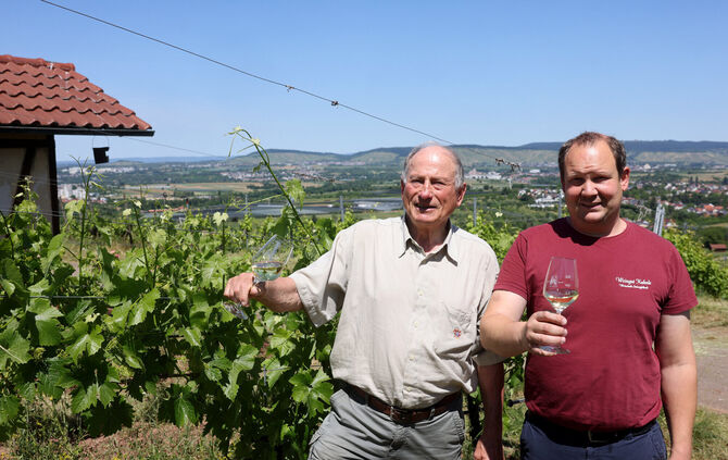 Hermann Beck (79) und Daniel Kuhnle (41) in Hermann Becks Weinberg in Kernen.