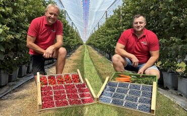 Grund zur Freude haben Daniel Schmid und sein Mitarbeiter Mircea Pavel. Der Handel auf dem Großmarkt kann auch nach dem verheere