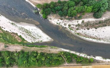 Niedrigwasser der Donau
