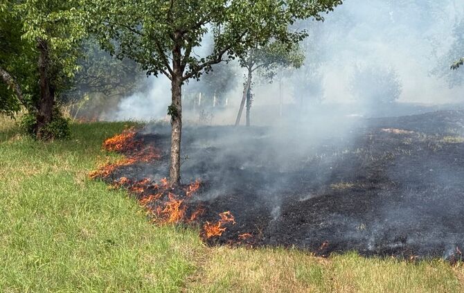 Das trockene Gras hat Feuer gefangen.
