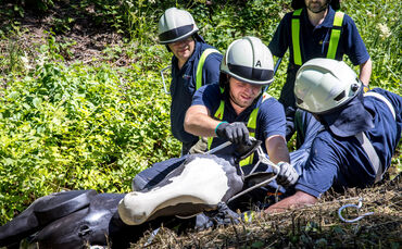 Übungszenario: Pferd "Atlas" steckt im Heppach fest. Hier legen Retter dem Dummy ein Nothalfter an.