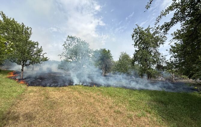 Eine 39-jährige Frau steht unter Tatverdacht für einen Brand auf einer Wiese in Schornbach.