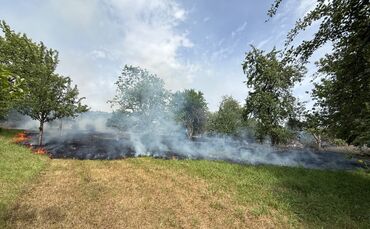 Eine 39-jährige Frau steht unter Tatverdacht für einen Brand auf einer Wiese in Schornbach.