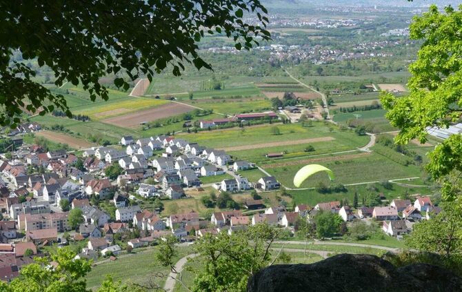 Der Blick vom Kleinheppacher Kopf ist herrlich - aber wer von unten schaut, sieht jetzt schon viele brachliegende Weinberge (Sym