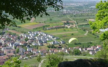 Der Blick vom Kleinheppacher Kopf ist herrlich - aber wer von unten schaut, sieht jetzt schon viele brachliegende Weinberge (Sym
