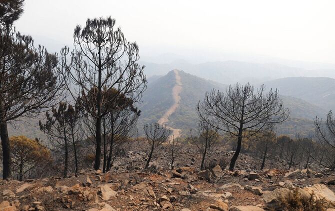 Waldbrand in Spanien