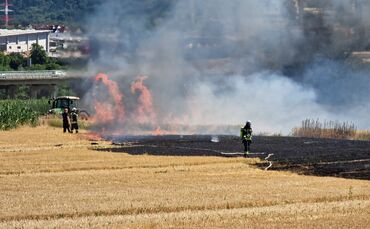 Ein Feld in Leutenbach steht am Samstagnachmittag in Flammen.