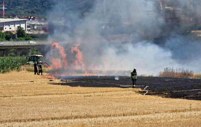 Ein Feld in Leutenbach steht am Samstagnachmittag in Flammen.