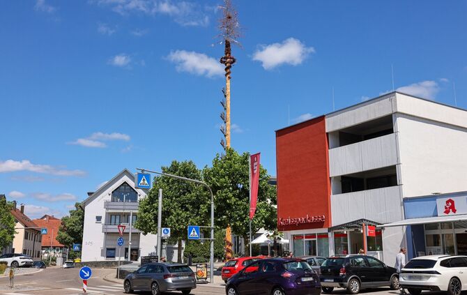 Im Urbacher Maibaum hat eine Elster ihr Nest gebaut.