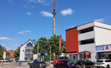 Im Urbacher Maibaum hat eine Elster ihr Nest gebaut.