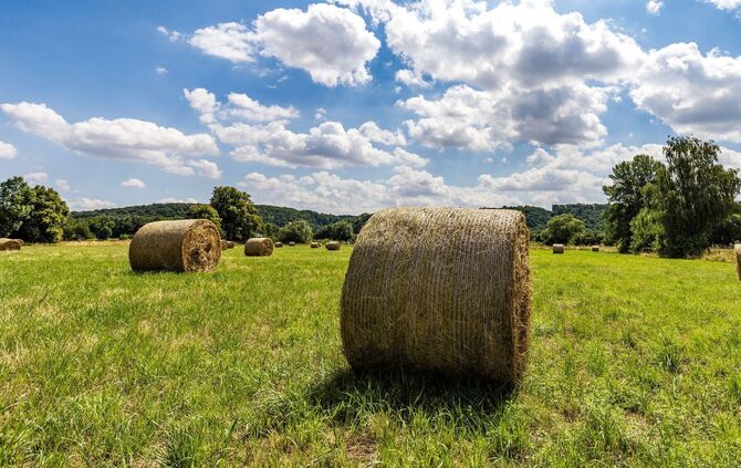 Heuballen auf einem Feld