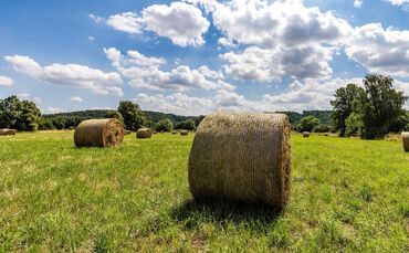 Heuballen auf einem Feld