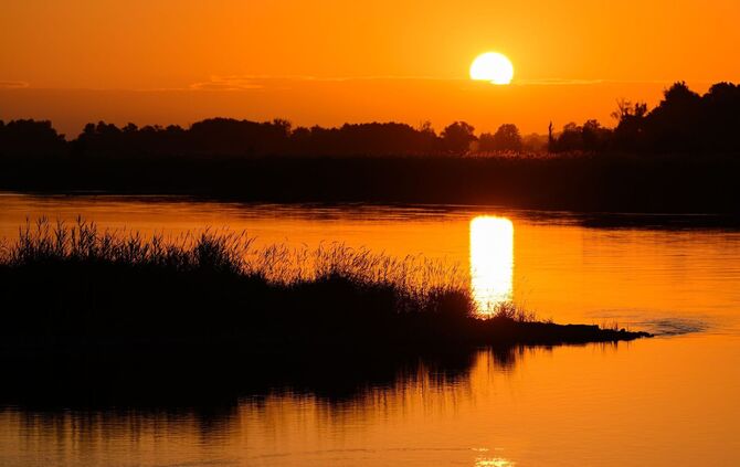 Sonnenaufgang am Fluss Oder