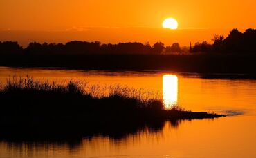 Sonnenaufgang am Fluss Oder