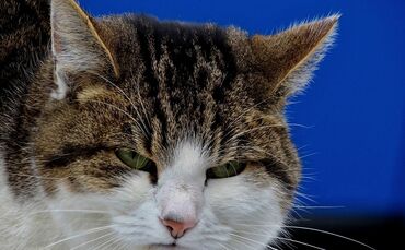 Schlechte Laune - Symbolbild_0